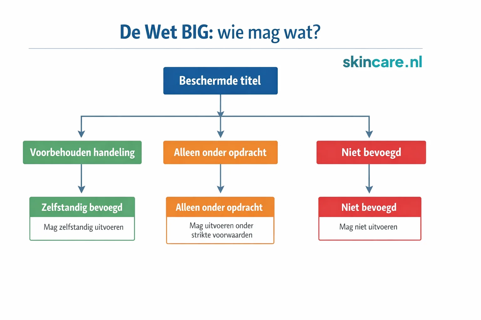 De Wet BIG: wie mag wat?