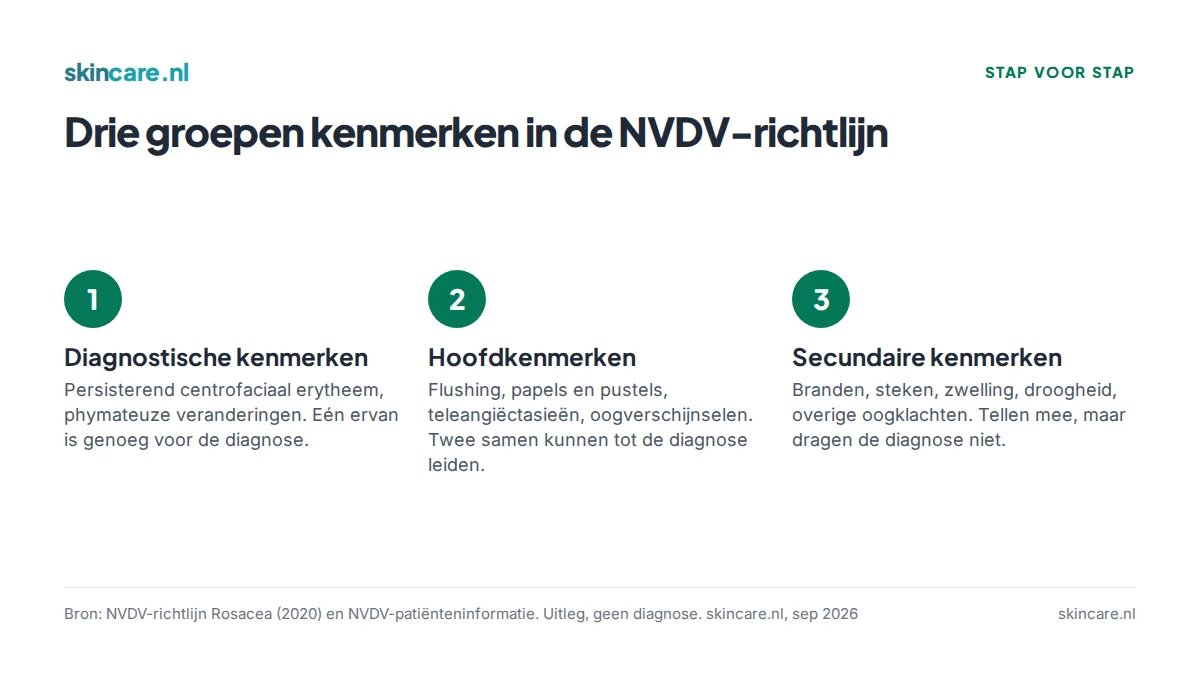 Drie groepen kenmerken uit de NVDV-richtlijn Rosacea: diagnostische kenmerken, hoofdkenmerken en secundaire kenmerken, met wat elk voor de diagnose betekent