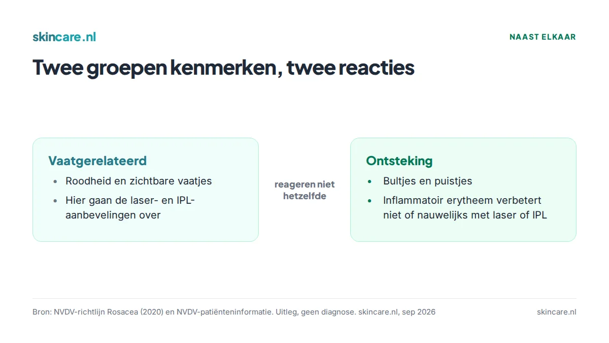Vergelijking tussen vaatgerelateerde kenmerken en ontstekingskenmerken bij rosacea en hoe ze op laser of IPL reageren