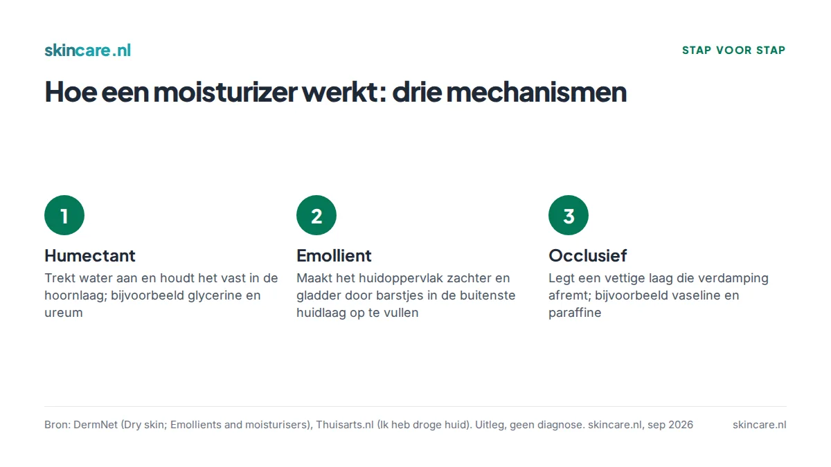 Drie soorten bestanddelen van moisturizers volgens DermNet: humectant, emollient en occlusief