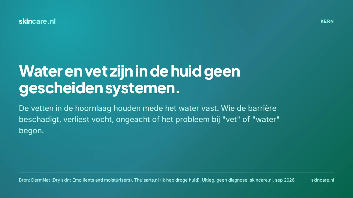 Kernzin: water en vet zijn in de huid geen gescheiden systemen