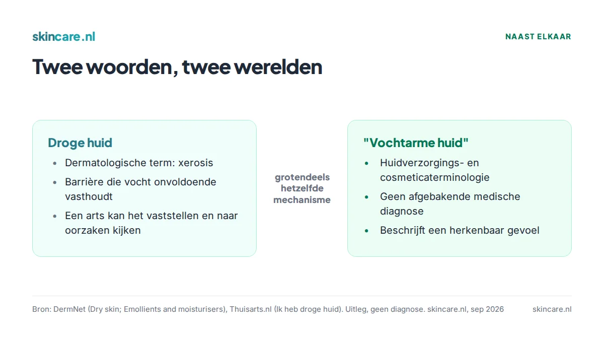 Vergelijking tussen droge huid (xerosis, dermatologische term) en vochtarme huid (huidverzorgingsterm zonder medische definitie)