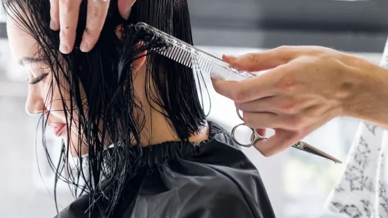 Alexander Hairstylers