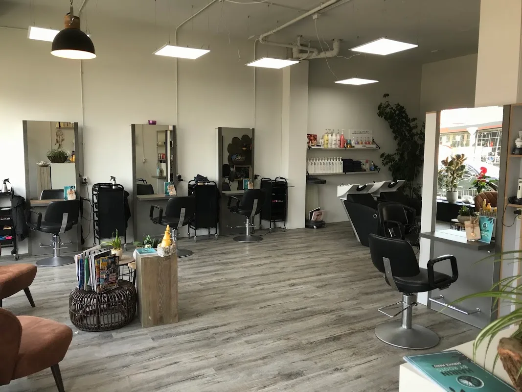 Hairin by Roots