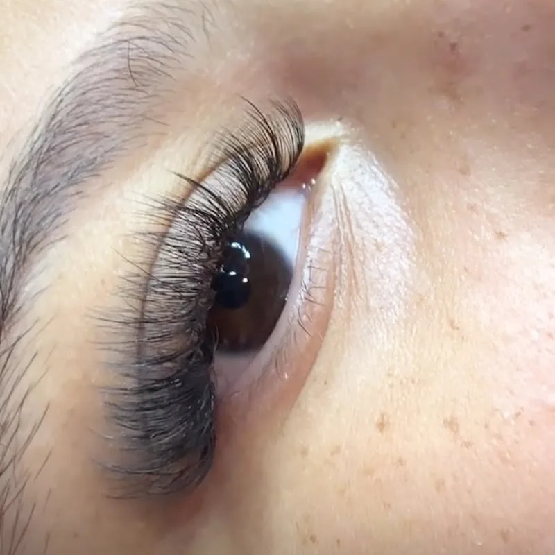 Lashes By Miqz