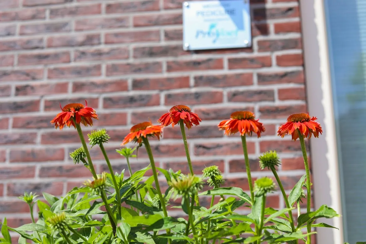 Pediwolde Noordwolde| Uw medisch pedicure & schoonheidsspecialist