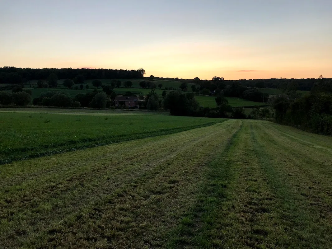 Praktijk Schift