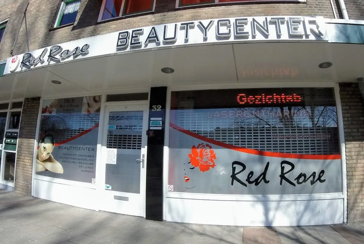 Red Rose - Delft