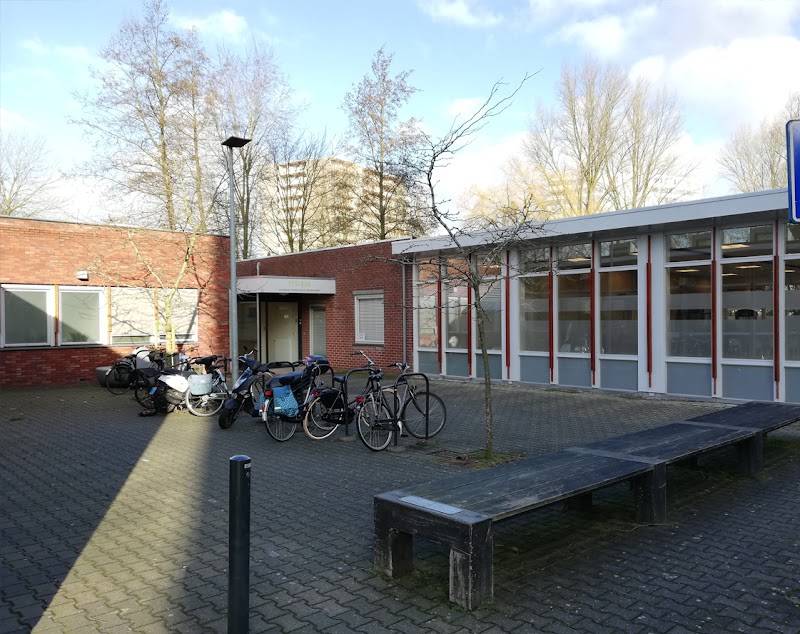 Rondom Podotherapeuten