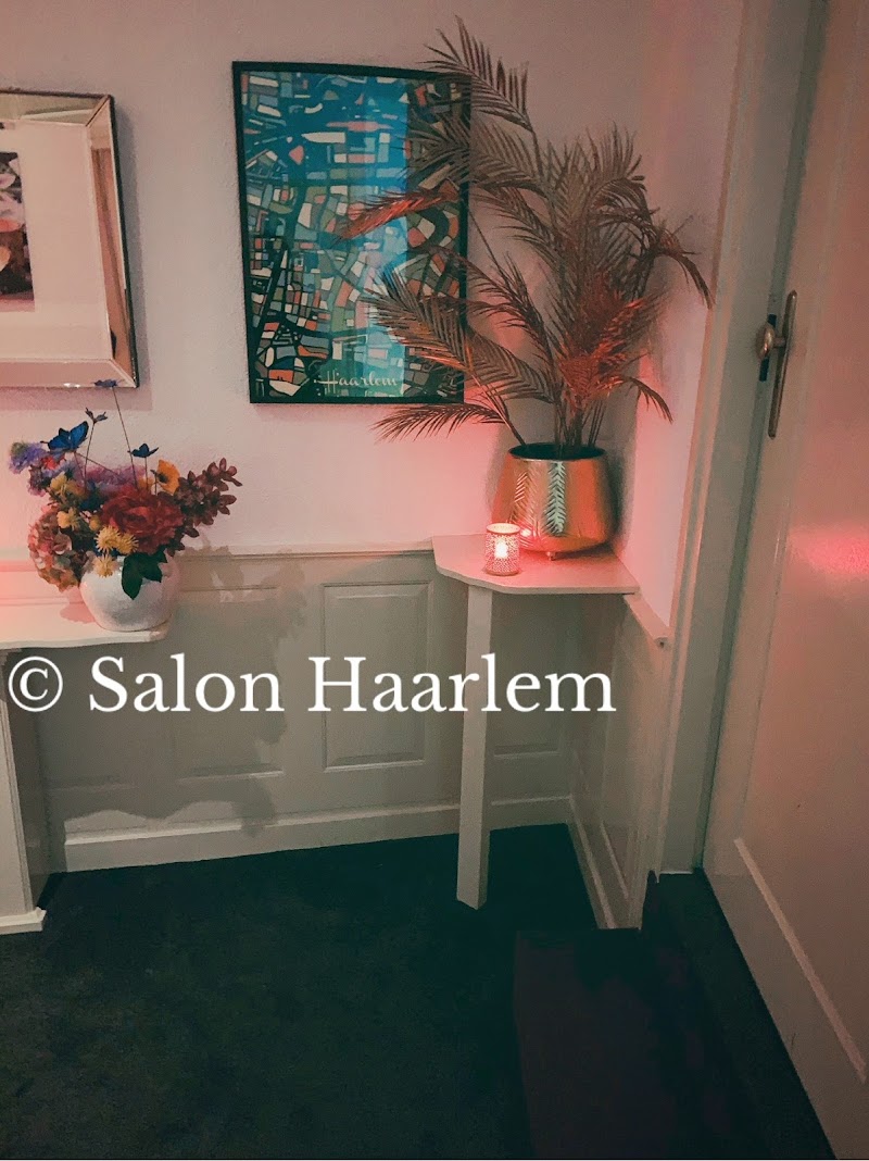 Salon Haarlem