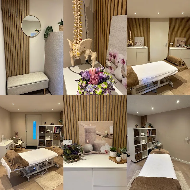 Sportzorg en Massagepraktijk AniBody