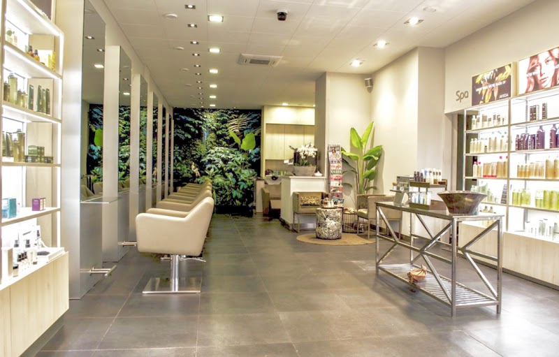 The Hair Spa Concepts BV