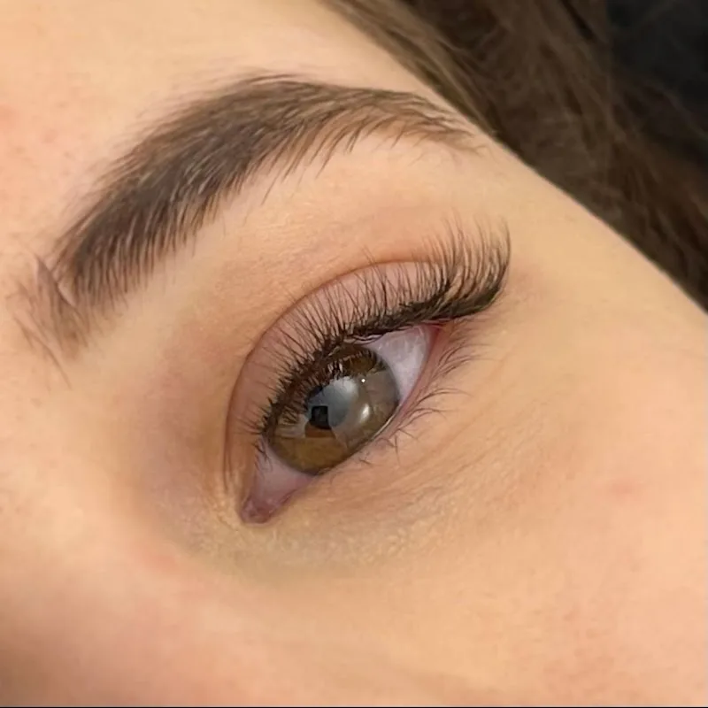 The Lashes
