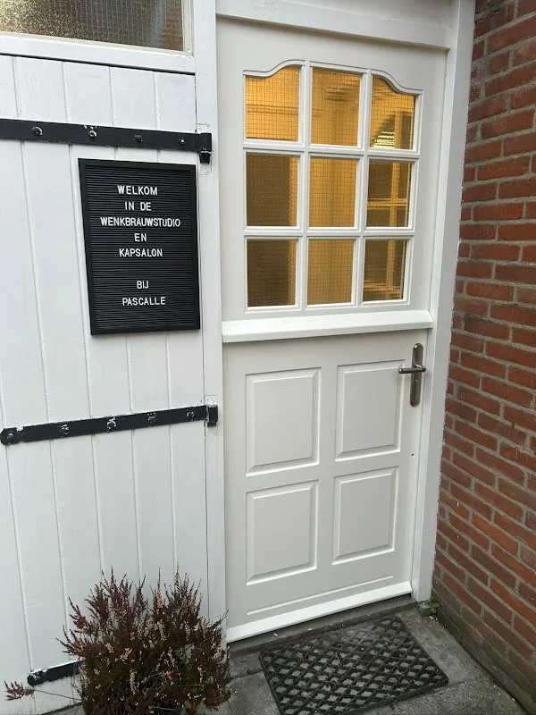 Wenkbrauwstudio en kapsalon bij Pascalle